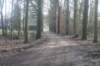 dsc02978_small.jpg
