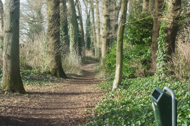 dsc02983.jpg