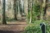 dsc02983_small.jpg