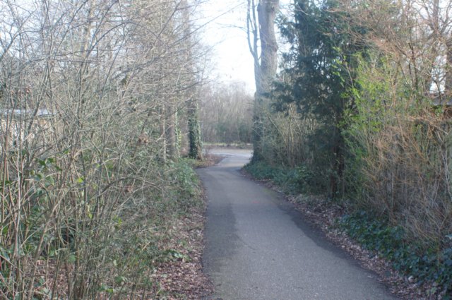 dsc02984.jpg
