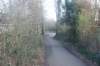 dsc02984_small.jpg