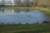 dsc02986_small.jpg