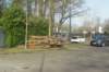 dsc02993_small.jpg