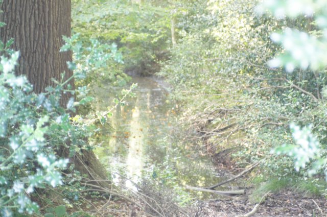dsc04082.jpg