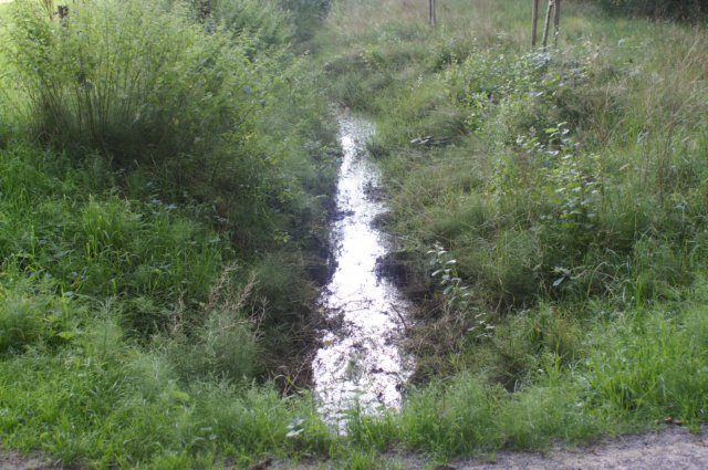 dsc04091.jpg