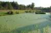 dsc05177_small.jpg