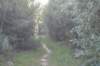 dsc05180_small.jpg