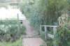 dsc05181_small.jpg