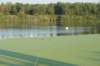 dsc05185_small.jpg