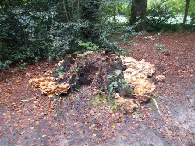 dscn0672.jpg