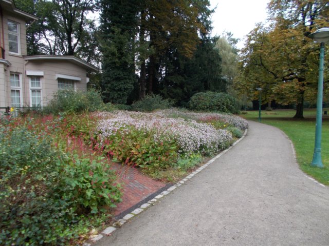 dscn0677.jpg