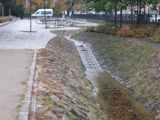 dscn0685.jpg