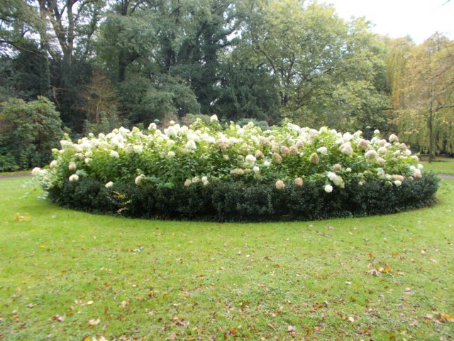 dscn0692.jpg