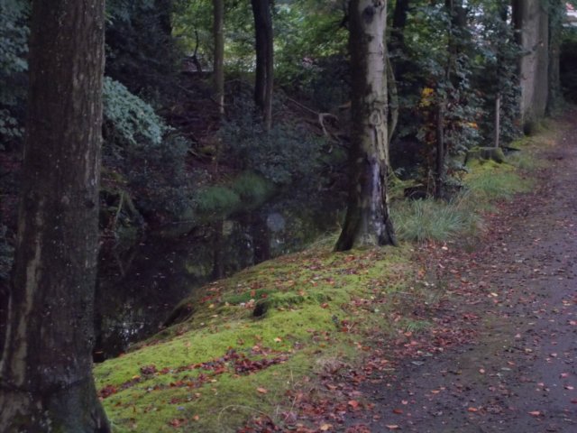 dscn0696.jpg