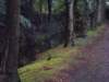dscn0696_small.jpg