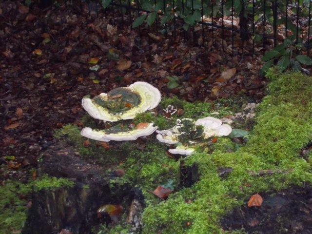 dscn0698.jpg