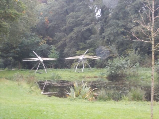 dscn0700.jpg
