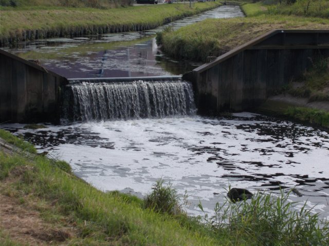 dscn0706.jpg