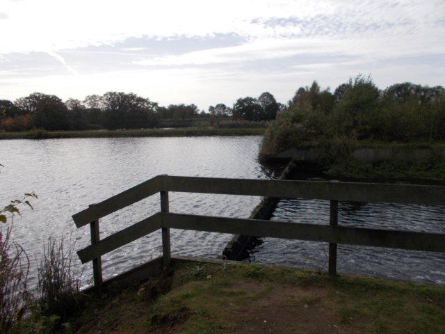 dscn0713.jpg