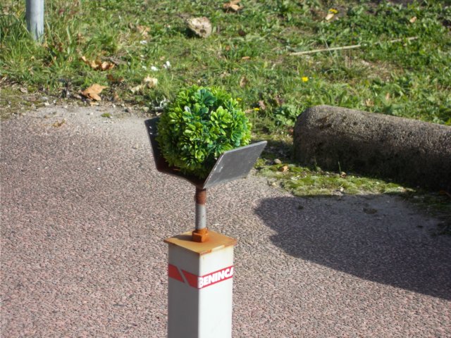 dscn0721.jpg