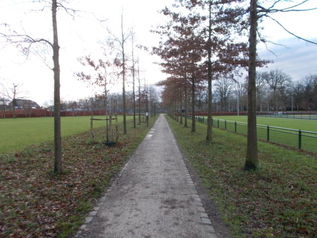 dscn0724.jpg