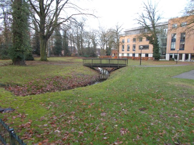 dscn0732.jpg