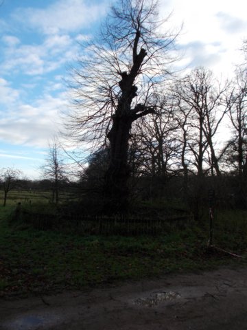 dscn0757.jpg