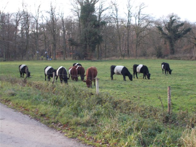 dscn0759.jpg