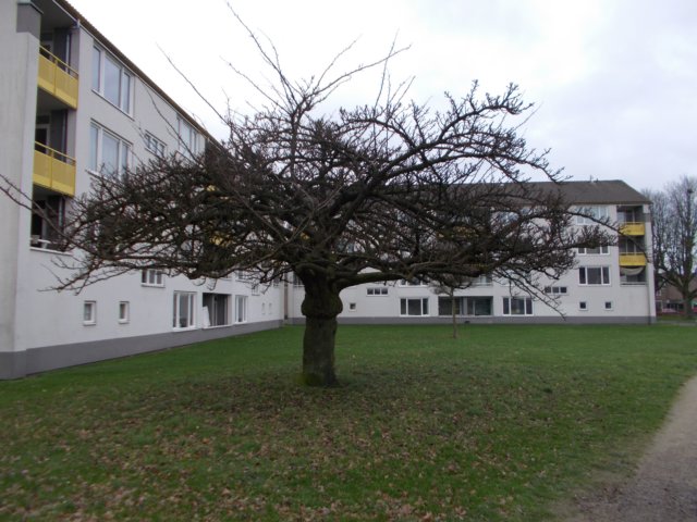 dscn0807.jpg