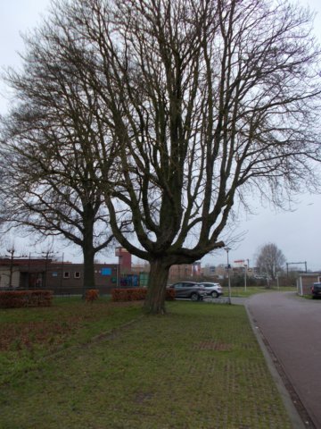 dscn0809.jpg