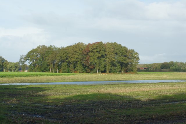 dsc05492.jpg