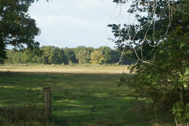 dsc05512.jpg