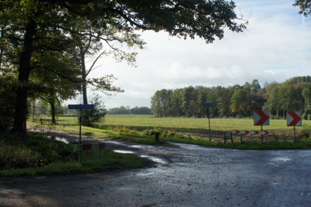 dsc05515.jpg