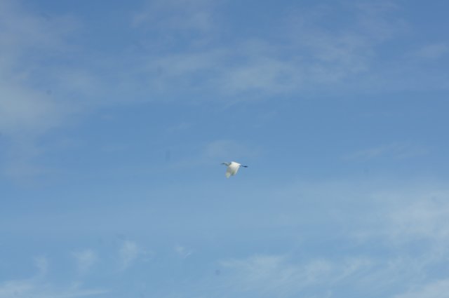 dsc05519.jpg