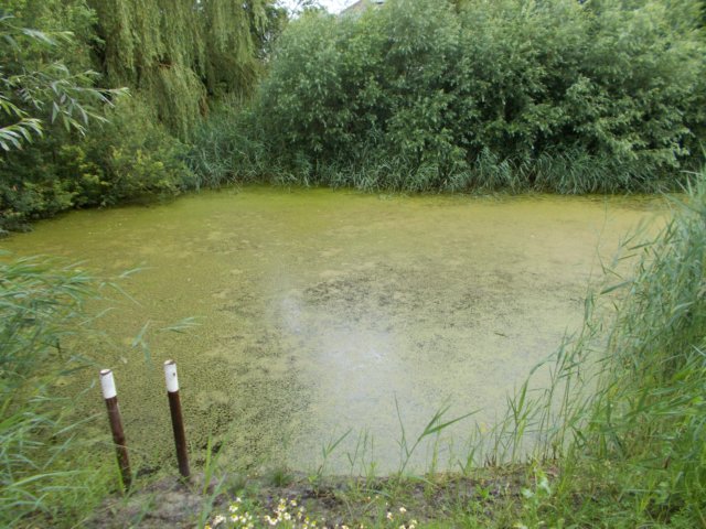 dscn0442.jpg