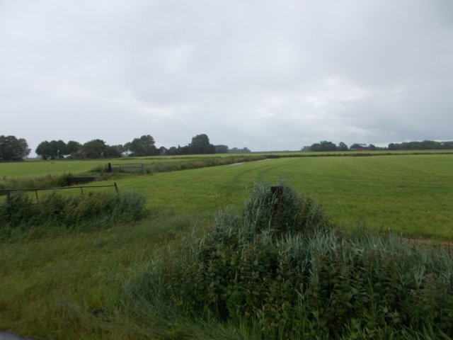 dscn0445.jpg
