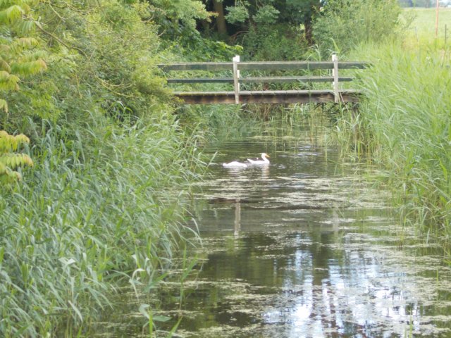 dscn0469.jpg