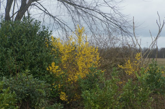 dsc03415.jpg
