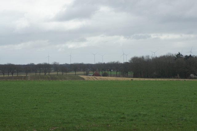 dsc03417.jpg