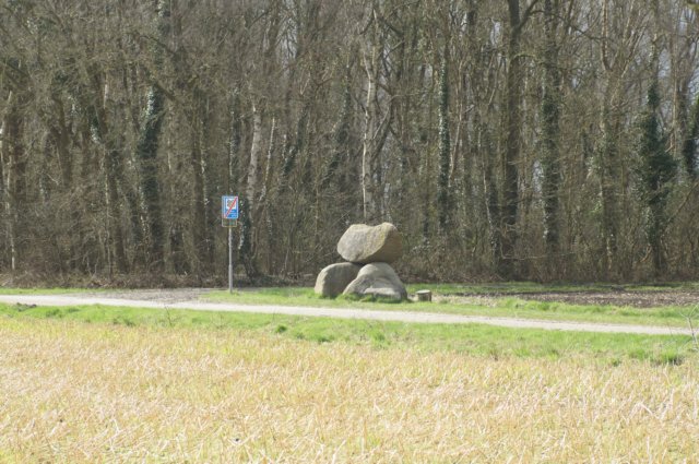 dsc03445.jpg