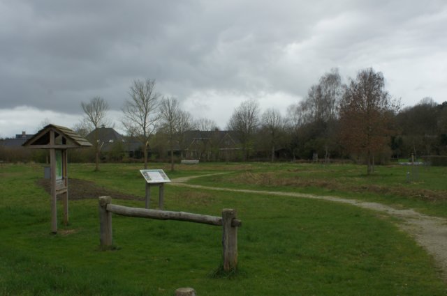 dsc03452.jpg