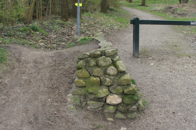 dsc03465.jpg