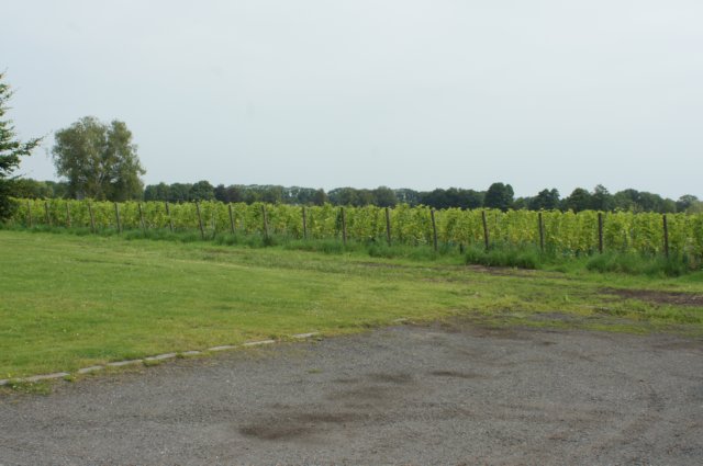 dsc04330.jpg
