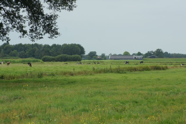 dsc04342.jpg