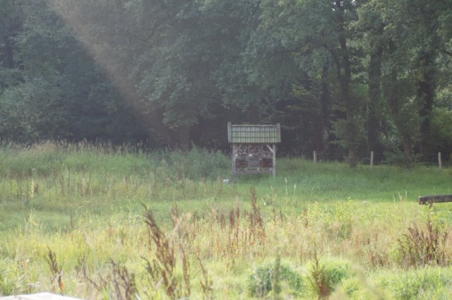 dsc04262.jpg