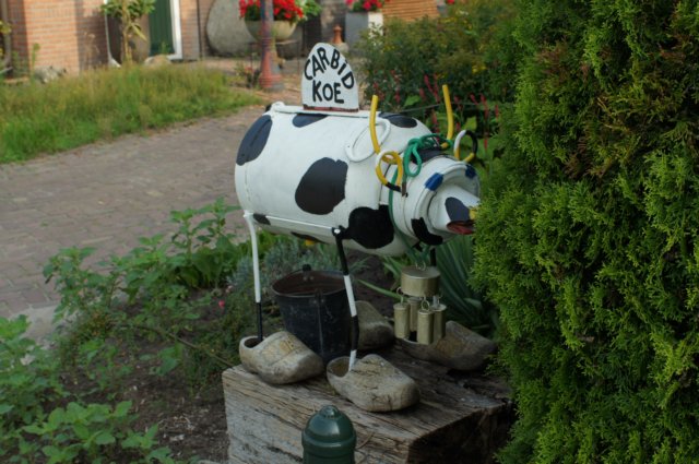 dsc04288.jpg