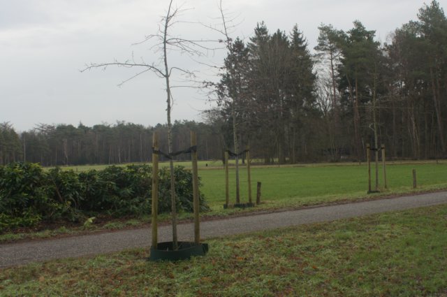 dsc03094.jpg