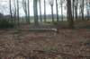 dsc03101_small.jpg