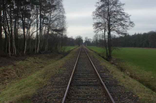 dsc03113.jpg
