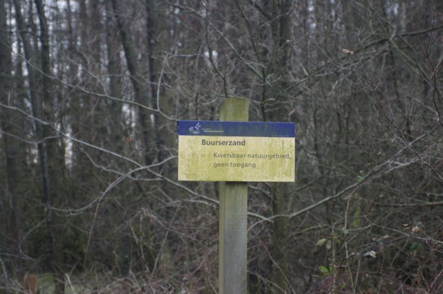 dsc03116.jpg